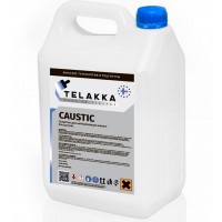 CAUSTIC 5кг